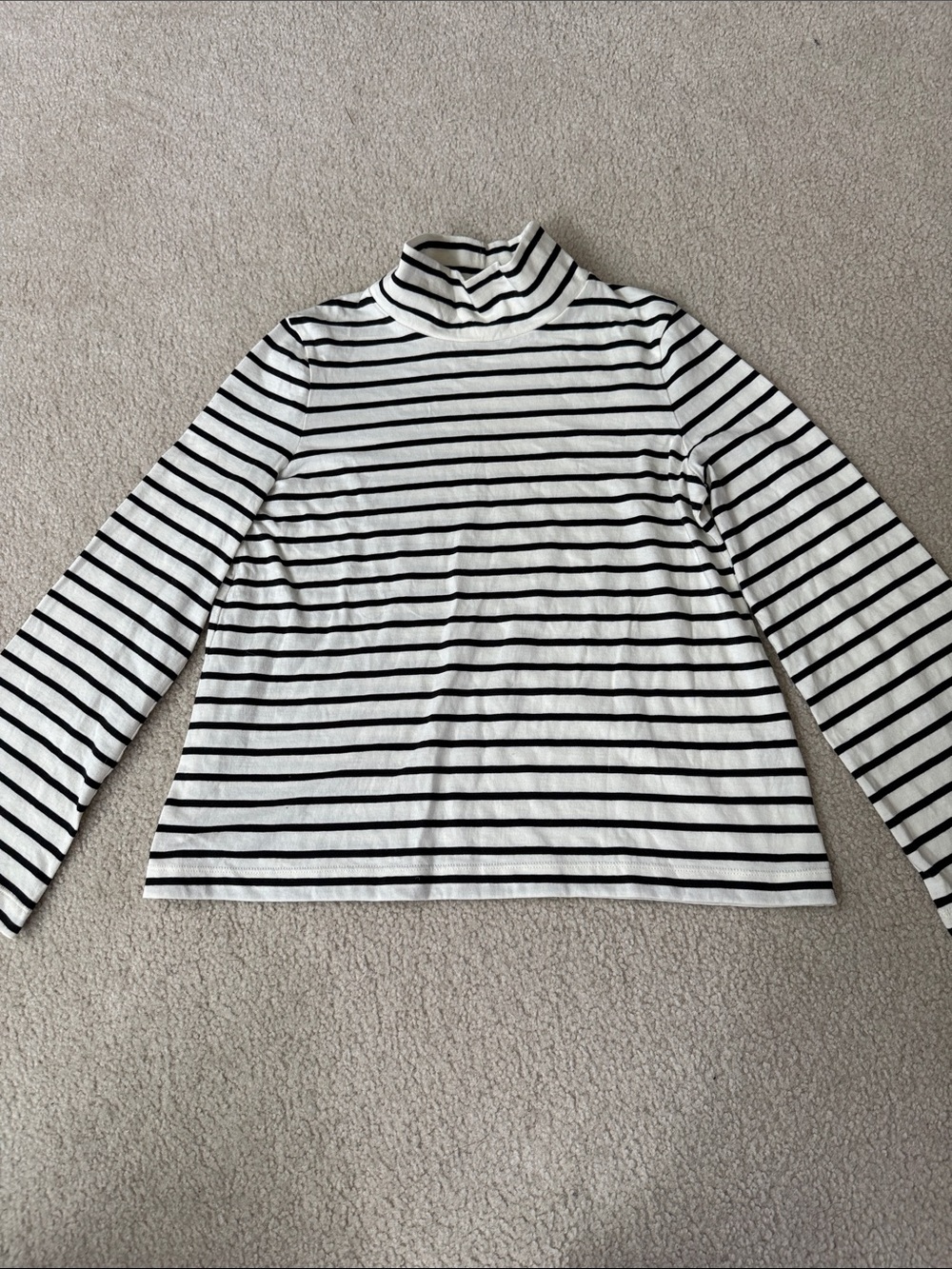 Madewell Black & White Striped Turtleneck